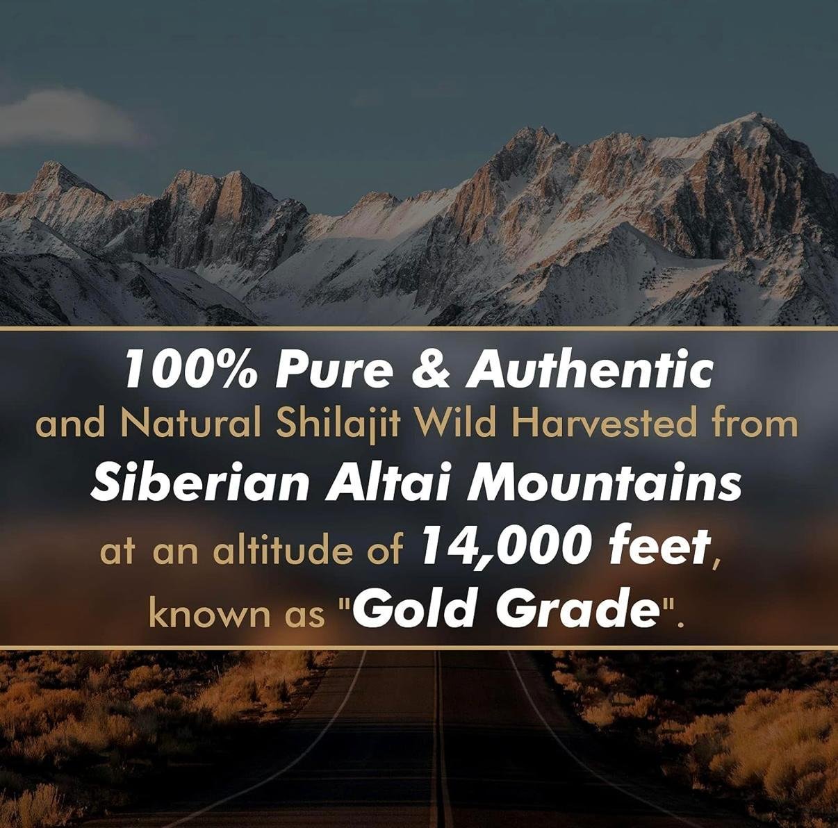 Tarmya Original Gold Grade Himalayan Shilajit Resin – 50g | High Potency Energy, Strength & Immunity Booster for Men & Women | Lab-Tested Premium Purity